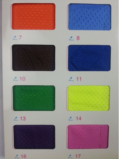 GZ-CIWI  金線拉架網布 T-B115 150G 後面照